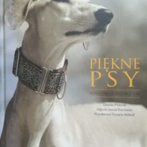 Piękne psy /32770/ Sprawdź teraz