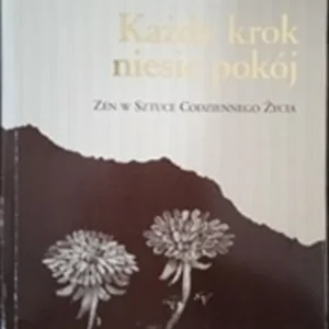 Oferta czasowa Każdy krok niesie pokój /37784/