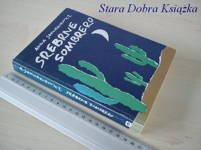 SREBRNE SOMBRERO - Anna Słowakiewicz Dodaj do koszyka