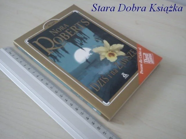 DZIŚ I NA ZAWSZE - Nora Roberts Rabat