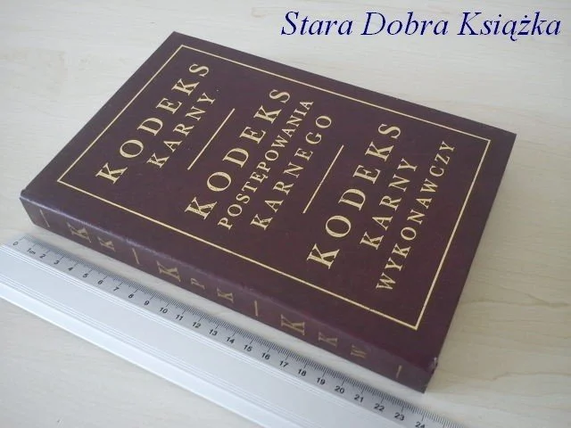 KODEKS KARNY; K. POSTĘPOWANIA KARNEGO; K. K. WYK. Ostatnia szansa