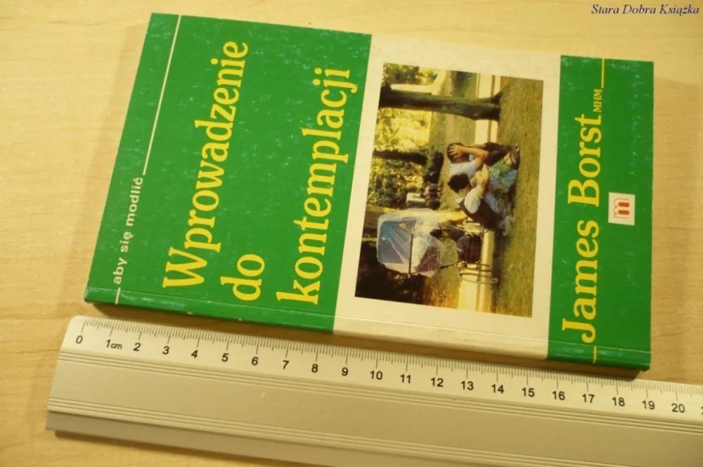 WPROWADZENIE DO KONTEMPLACJI - James Borst Bestseller