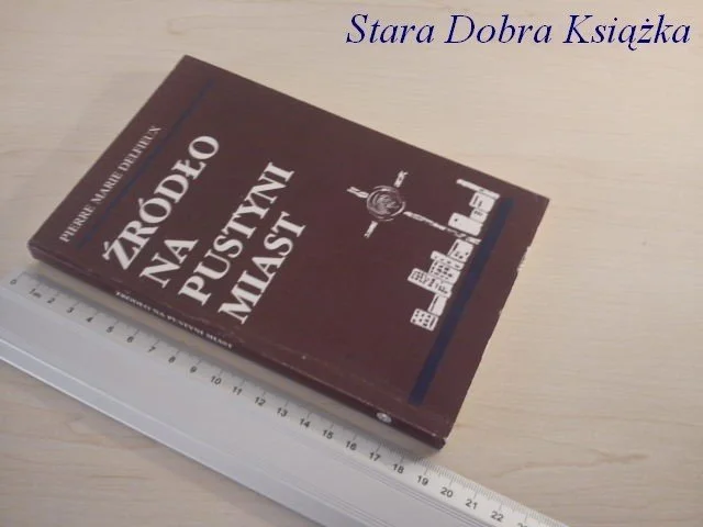 Taniej ŹRÓDŁO NA PUSTYNI MIAST - Pierre Marie Delfieux