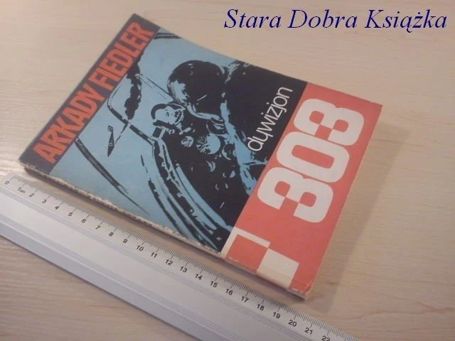 Darmowy zwrot DYWIZJON 303 - Arkady Fiedler