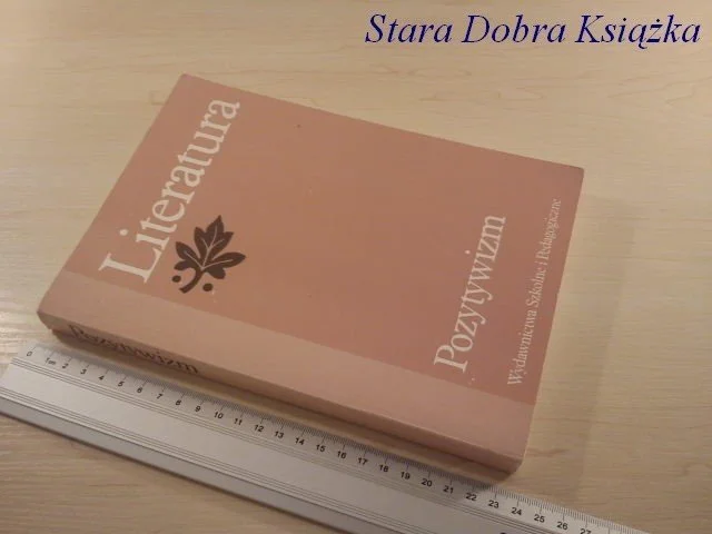 LITERATURA POZYTYWIZM - TADEUSZ BUJNICKI Premium