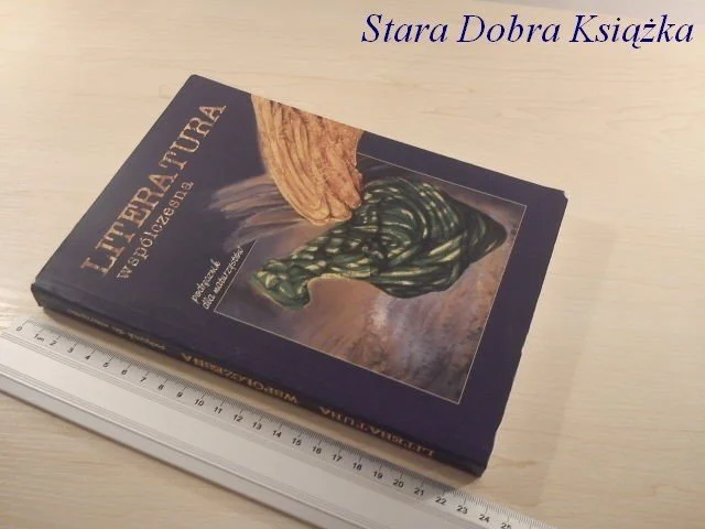 Ekspresowa dostawa LITERATURA WSPÓŁCZESNA - BOŻENA CHRZĄSTKOWSKA