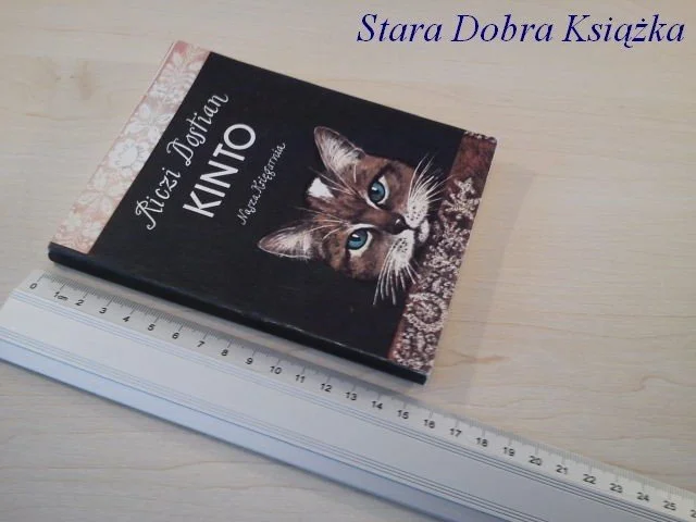 KINTO - Riczi Dostian Nie przegap