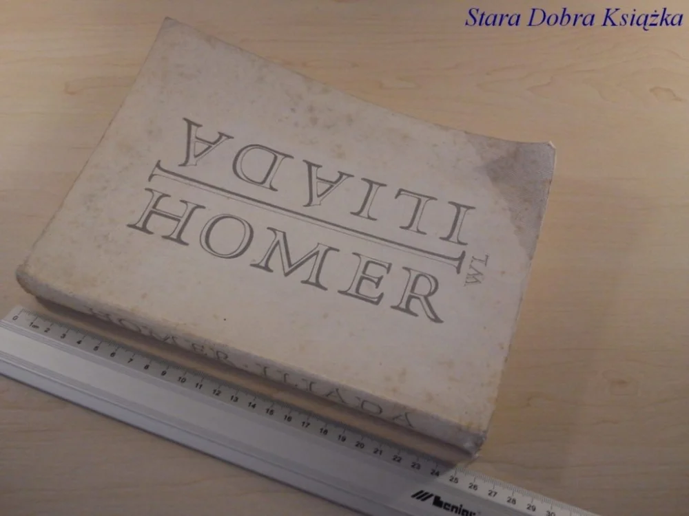 ILIADA - Homer Popularny