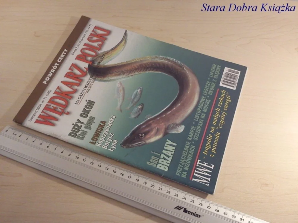 Ekspresowa dostawa WĘDKARZ POLSKI NR. 11 /2004 POWRÓT CERTY
