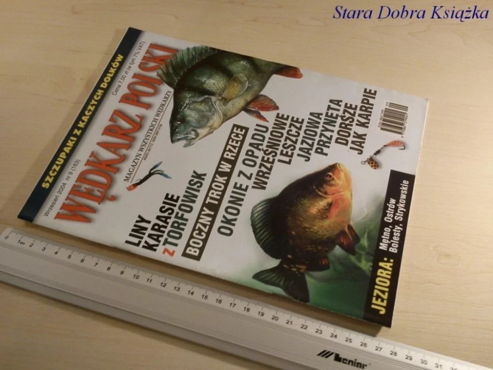 Super okazja WĘDKARZ POLSKI NR. 9 /2004 JAZIOWA PRZYNĘTA