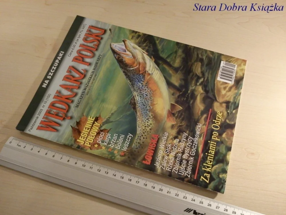Wysoka jakość WĘDKARZ POLSKI NR. 10/ 2003 JESIENNE POŁOWY