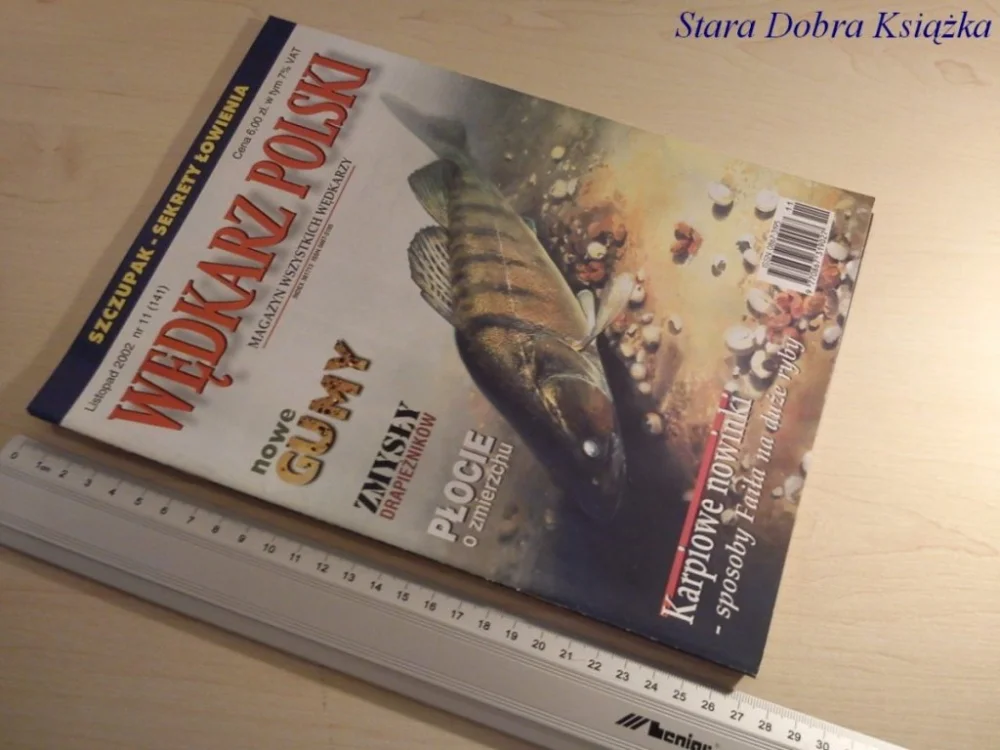 WĘDKARZ POLSKI NR. 11/2002 PŁOCIE O ZMIERZCHU Hit cenowy