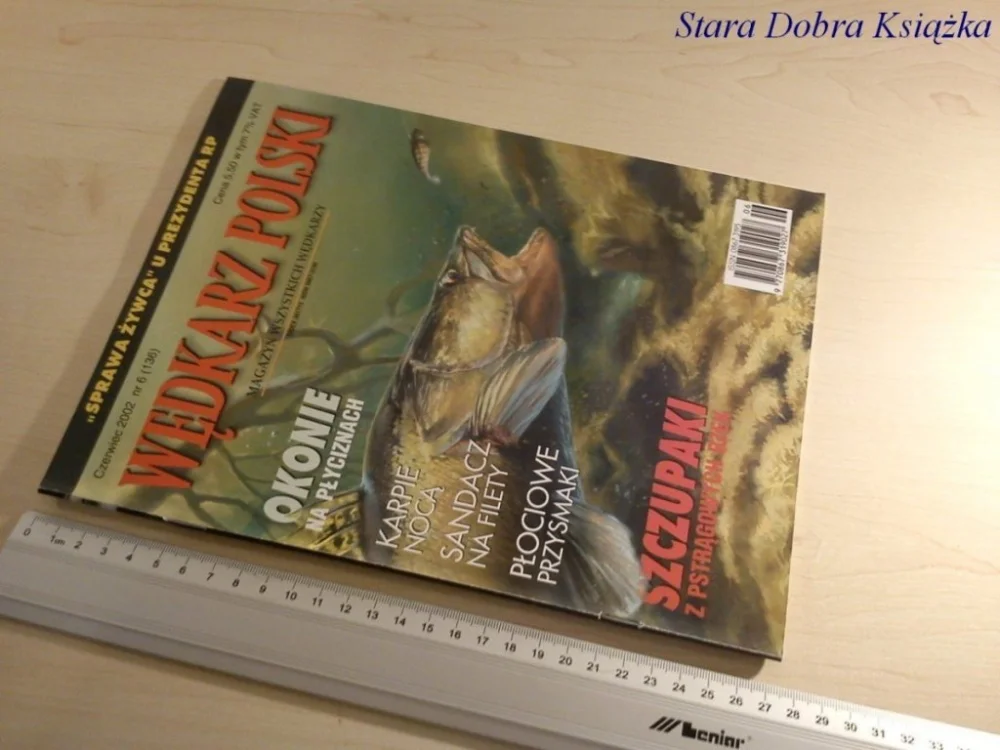 Nowość WĘDKARZ POLSKI NR. 6 / 2002 KARPIE NOCĄ