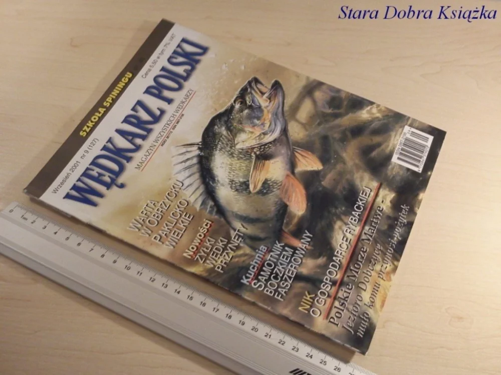 Szybka wysyłka WĘDKARZ POLSKI NR.9/2001 SZKOŁA SPININGU