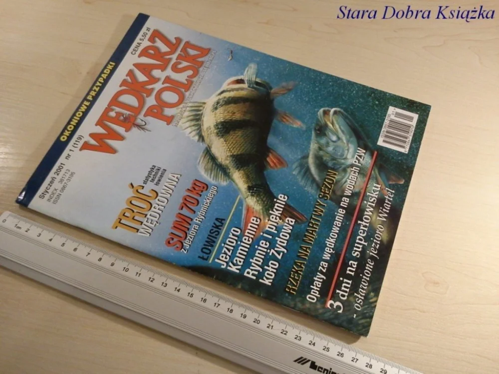Najlepsza cena WĘDKARZ POLSKI NR.1 / 2001 TROĆ WĘDROWNA