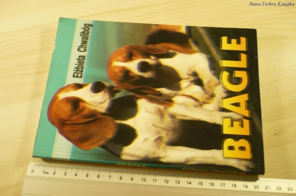 Rabat BEAGLE - Elżbieta Chwalibóg (2004)