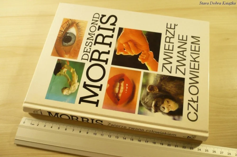 ZWIERZĘ ZWANE CZŁOWIEKIEM - Desmond Morris (1997) Wysoka jakość