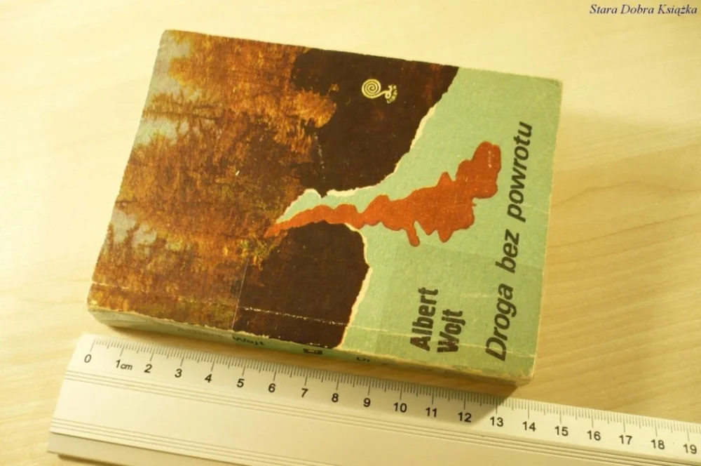 Bestseller DROGA BEZ POWROTU - Albert Wojt (1985)