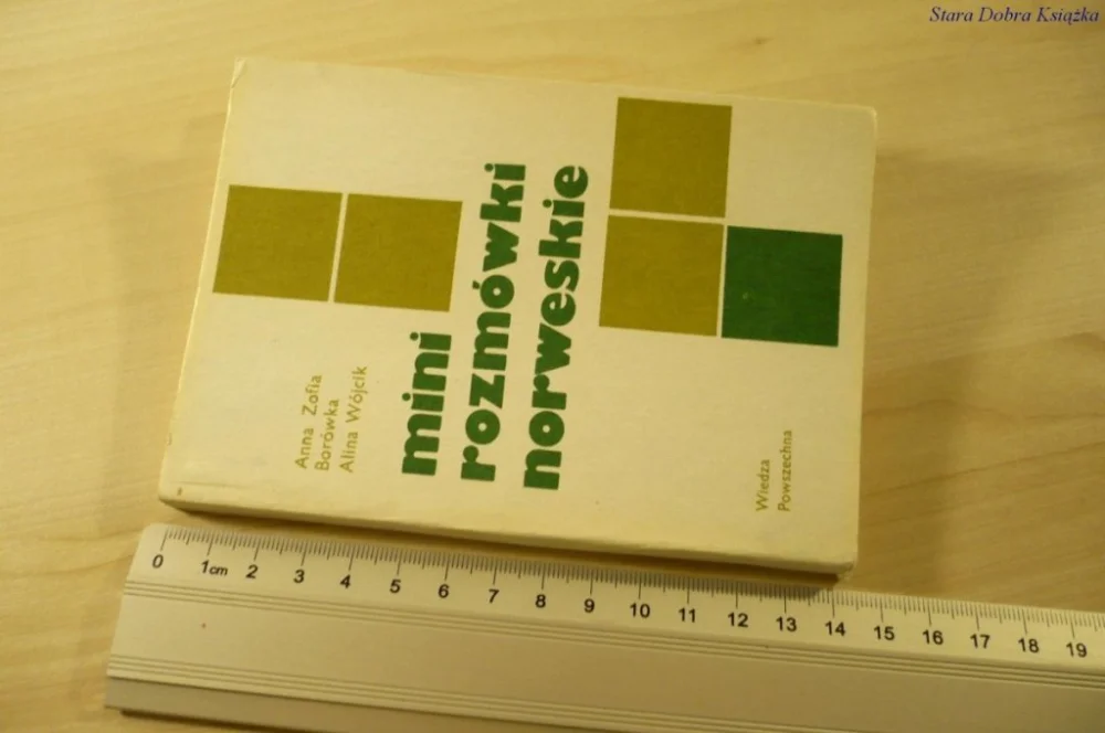 Wyjątkowa oferta MINI ROZMÓWKI NORWESKIE Anna Zofia Borówka (1984)