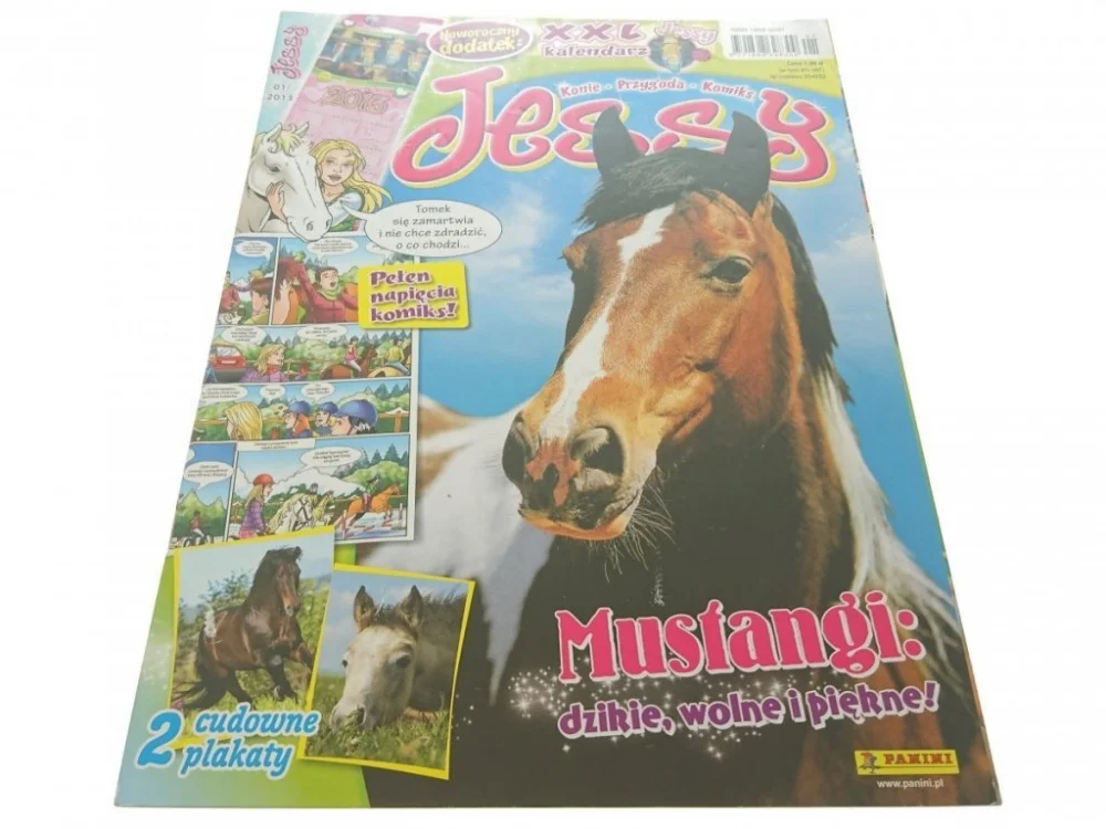 Nowy JESSY 01/2013
