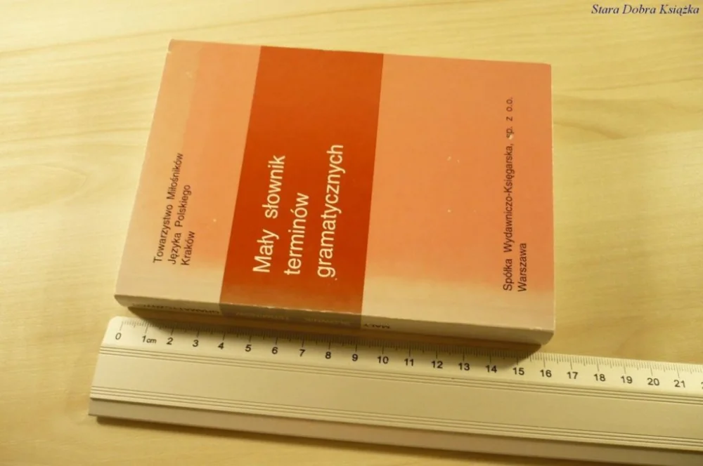 Nie przegap MAŁY SŁOWNIK TERMINÓW GRAMATYCZNYCH (1996)