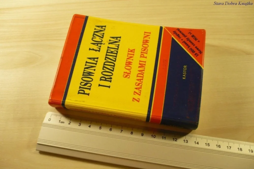 Oferta PISOWNIA ŁĄCZNA I ROZDZIELNA. SŁOWNIK (1999)