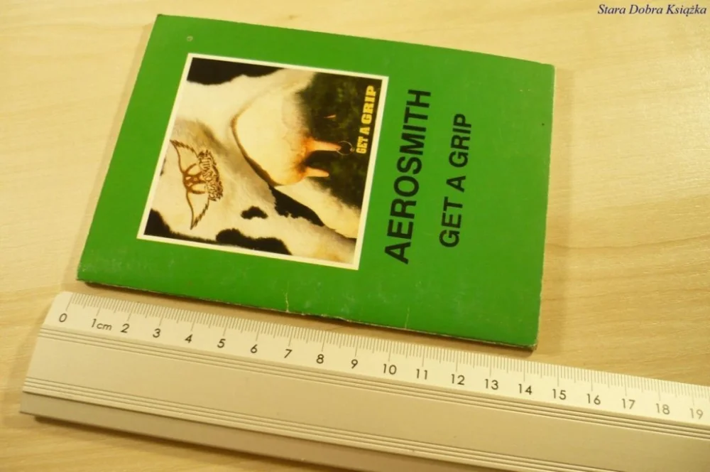 Nie przegap AEROSMITH. GET A GRIP (1993) TEKSTY PIOSENEK