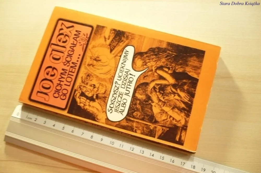 CICHYM ŚCIGAŁAM GO LOTEM... - Joe Alex 1987 Wyjątkowa oferta
