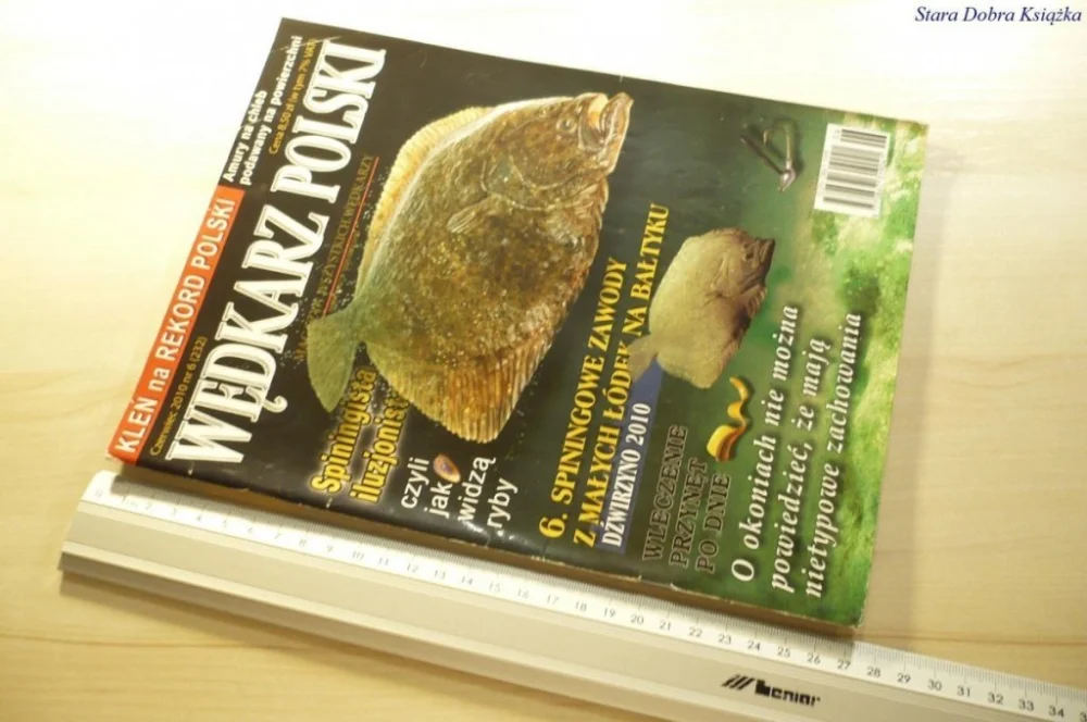 Ekspresowa dostawa WĘDKARZ POLSKI CZERWIEC 2010 NR 6 232