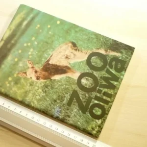 ZOO OLIWA - MGR INŻ. MICHAŁ MASALSKI Ostatnie sztuki