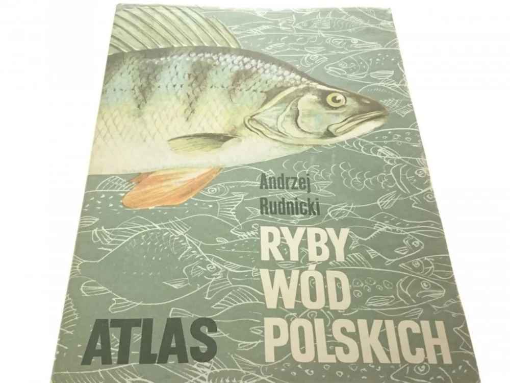 RYBY WÓD POLSKICH ATLAS - Andrzej Rudnicki 1989 Wysoka jakość