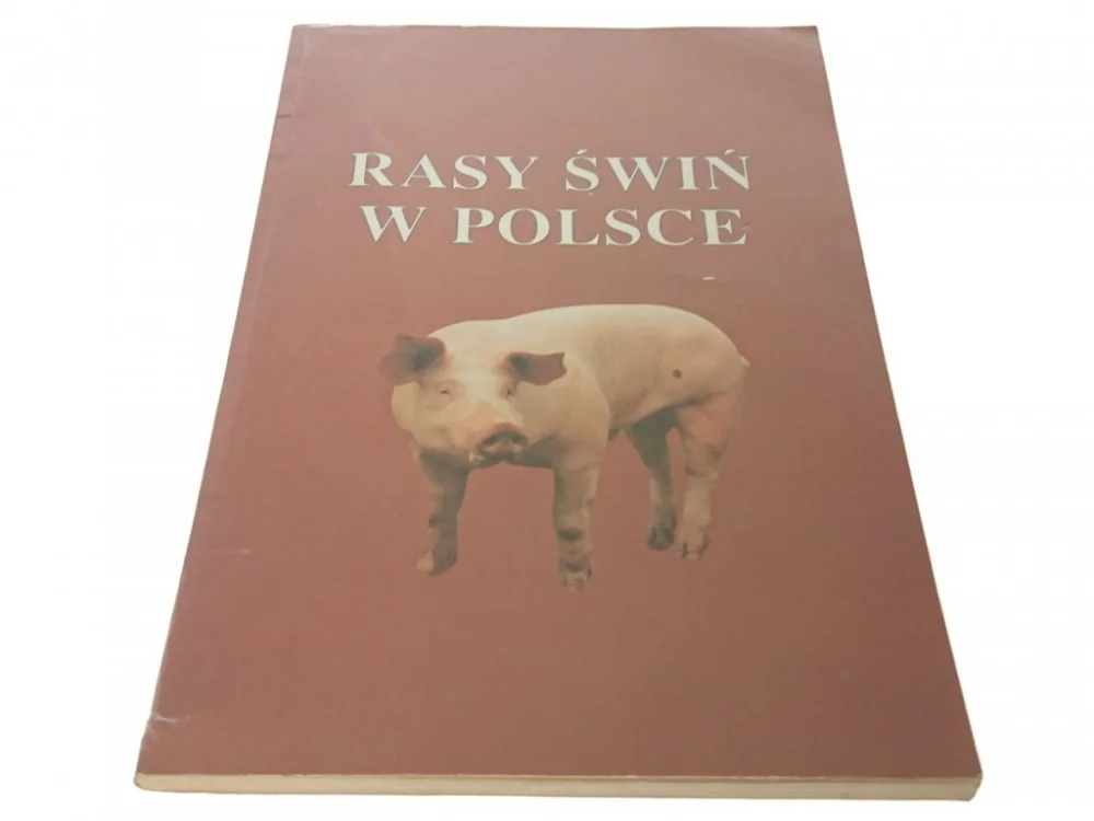 RASY ŚWIŃ W POLSCE Popularny